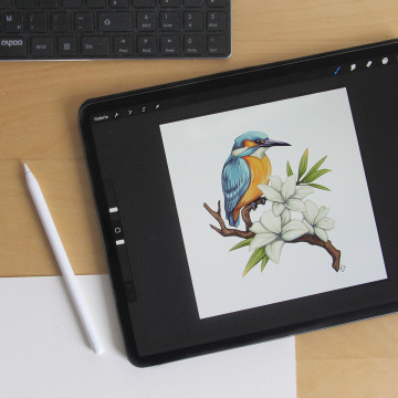 Procreate Cover 02 web