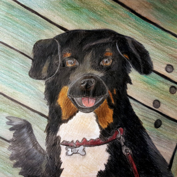 leaskurs kursergebnisse2021 web01