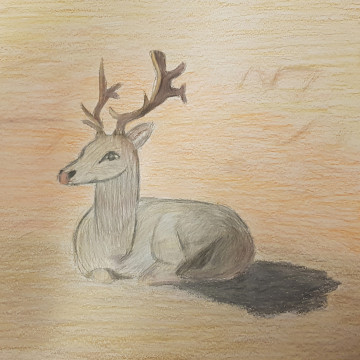 leaskurs kursergebnisse2021 web04