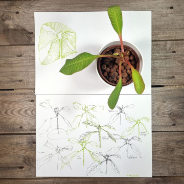 MariasKurse Jugendliche web13